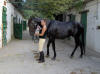 A l'�poque mon cheval �tait au club hippique de Nice.